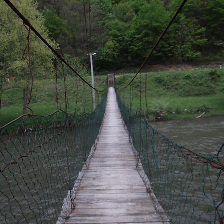 Villa Vrbas Dreams Torlakovac Esterno foto