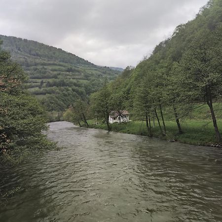 Villa Vrbas Dreams Torlakovac Esterno foto